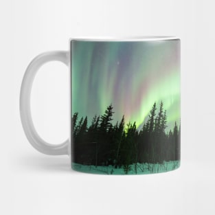 Rainbow Aurora Borealis in a Black Spruce Forest in Alaska Mug